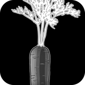 CARROT-P2