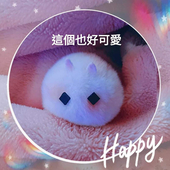 多茶