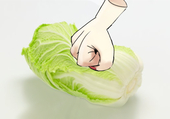 🍅ぬん