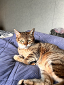 高校生