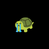 🐢💨‼️