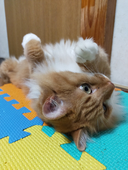 朔良・カヲル