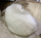 たつた