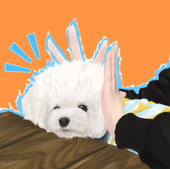 けんそーちゃび
