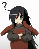 8088