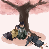 きくらげ(きの子)