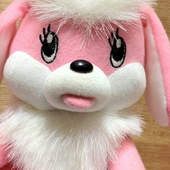 おのきゃん