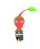 きゃた