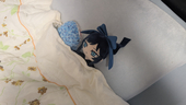 おちゃっぱ