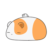 ブッタ