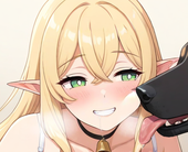 DSHR