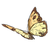 もる