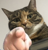 とおる