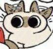 UMIUMIU