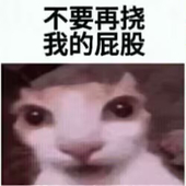 黑炭方砖