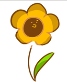 けえぷぺんぎん