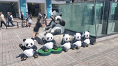 篠