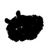 kns