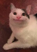 77
