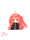 水蓮