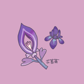 花菖蒲