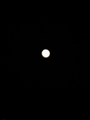 天使(ｱﾏﾂｶ