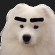 _Luoxia