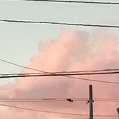 かさの