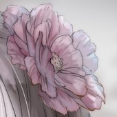 nogi