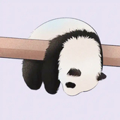 Dpanda