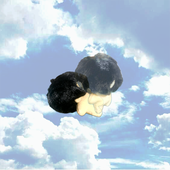 メ