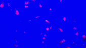 qjrs4221