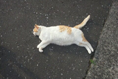 山の下馳夫