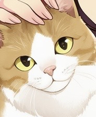 cat bless