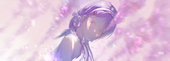 深色海带鱼（Azalea.c）