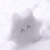 Si