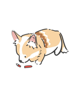 ペンブローク
