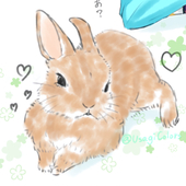 いろどりうさぎ