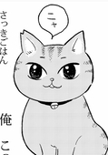 りょさ