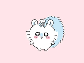 さんしむ。