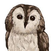 てぃえむ