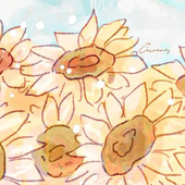 めこめこ