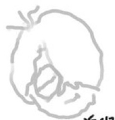白珠