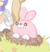 ひゃる