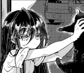 ななつか