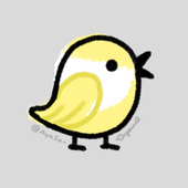 アヤを