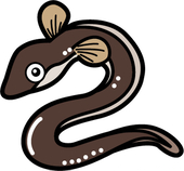 anagonote