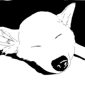 そらしばた