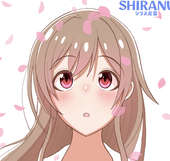 シラヌ@お仕事募集中