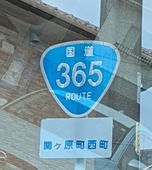 毬藻